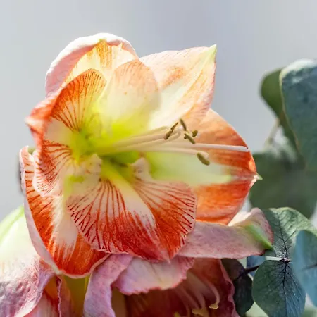 Apartament Perauer Mayrhofen