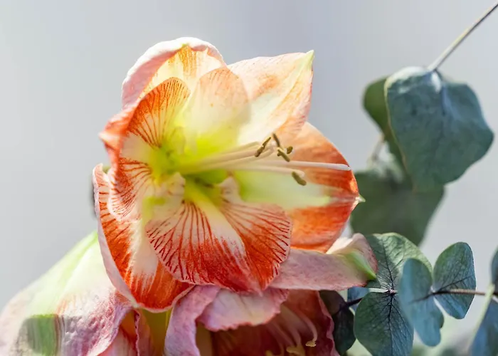 Appartamento Perauer Mayrhofen