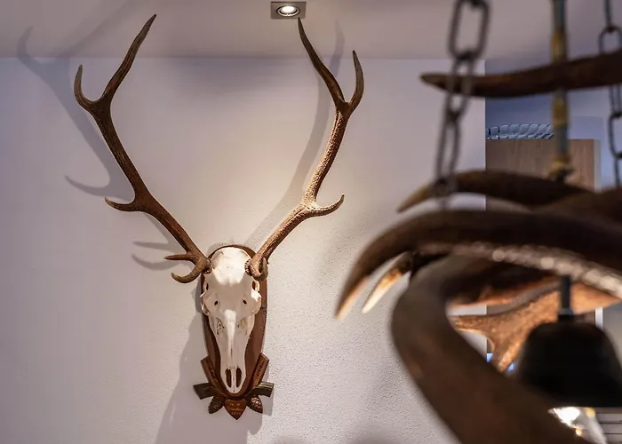 Perauer Майрхофен