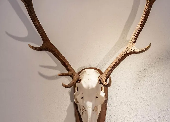 Perauer Апартаменты